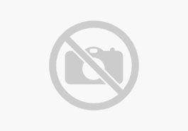 SKODA KAROQ Clever 1.5 TSI LED PDC SHZ SmartLink KESSY